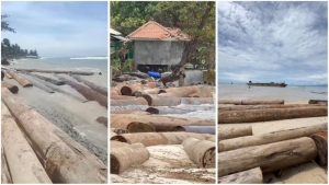 
Foto: Tangkap layar video penampakan kayu dari kapal kandas (Dok. detiknews.com /Tangkap Layar)