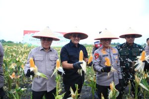 ist