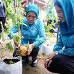 Feby Deru Tekankan Penguatan Keluarga, Minta PKK Ogan Ilir Rutin Evaluasi Program   