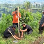 Konservasi Lereng Pegunungan, Pemkab Wonosobo Lakukan Penghijauan Kawasan Jalisu