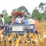 Panen Raya Jagung di OKU Selatan, Cik Ujang Tegaskan Komitmen Sumsel Dukung Ketahanan Pangan Nasional   