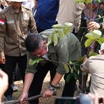 Herman Deru Tanam Pohon Blangeran dan Dorong Percepatan Perbaikan WTP di Kebun Raya Sriwijaya
