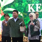 Gubernur Herman Deru Dorong Penguatan Sinergi Pemerintah dan Masyarakat untuk Jaga Kelestarian Hutan Sumsel