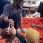 Akibat Pakan Mahal, Peternak Bagi-bagi Ayam Gratis di Kawasan Malioboro