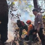 Kebakaran Melanda Hutan Kaliguwo Wonosobo, TNI-Polri dan Relawan Turun Tangan