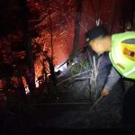 Kebakaran Hutan Pinus Kalikajar, Polres Wonosobo Gerak Cepat Lokalisir Api