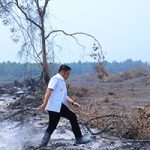 Tinjau Karhutla di Muba, Herman Deru Tekankan Pencegahan dan Keterlibatan Masyarakat   
